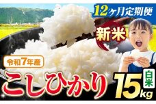【12ヶ月定期便】令和7年産 新米 白米 こしひかり 15kg《お申込みの翌月出荷》熊本県産 ふるさと納税 白米 精米 ひの 米 こめ ふるさとのうぜい コシヒカリ コメ お米 おこめ
