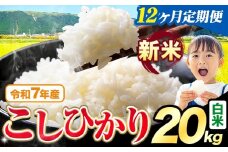 【12ヶ月定期便】令和7年産 新米 白米 こしひかり 20kg《お申込みの翌月出荷》熊本県産 ふるさと納税 白米 精米 ひの 米 こめ ふるさとのうぜい コシヒカリ コメ お米 おこめ