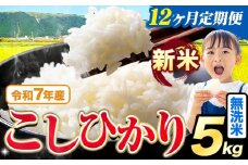 【12ヶ月定期便】令和7年産 新米 無洗米 こしひかり 5kg《お申込みの翌月出荷》熊本県産 ふるさと納税 無洗米 精米 ひの 米 こめ ふるさとのうぜい コシヒカリ コメ お米 おこめ