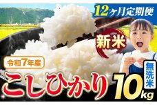 【12ヶ月定期便】令和7年産 新米 無洗米 こしひかり 10kg《お申込みの翌月出荷》熊本県産 ふるさと納税 無洗米 精米 ひの 米 こめ ふるさとのうぜい コシヒカリ コメ お米 おこめ