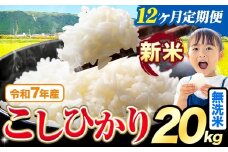 【12ヶ月定期便】令和7年産 新米 無洗米 こしひかり 20kg《お申込みの翌月出荷》熊本県産 ふるさと納税 無洗米 精米 ひの 米 こめ ふるさとのうぜい コシヒカリ コメ お米 おこめ