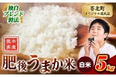 米  熊本県産 肥後うまか米 5kg   白米 精米 こめ  コメ お米 おこめ ブレンド米《9月下旬-11月上旬頃出荷》熊本県産  コメ お米 おこめ