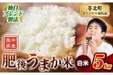 米  熊本県産 肥後うまか米 5kg   白米 精米 こめ  コメ お米 おこめ ブレンド米《10月中旬-12月末頃出荷》熊本県産  コメ お米 おこめ