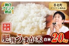 米  熊本県産 肥後うまか米 20kg 白米 精米 こめ  コメ お米 おこめ ブレンド米《9月下旬-11月上旬頃出荷》熊本県産  コメ お米 おこめ