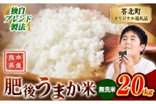 米  熊本県産 肥後うまか米 20kg 無洗米 精米 こめ  コメ お米 おこめ ブレンド米《9月下旬-11月上旬頃出荷》熊本県産  コメ お米 おこめ