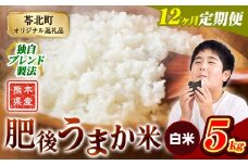 【12か月定期便】米 白米 熊本県産 肥後うまか米 5kg 精米 こめ  コメ お米 おこめ ブレンド米《申込月の翌月から出荷開始》熊本県産  コメ お米 おこめ