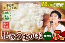 【12か月定期便】米 無洗米 熊本県産 肥後うまか米 5kg 精米 こめ  コメ お米 おこめ ブレンド米《申込月の翌月から出荷開始》熊本県産  コメ お米 おこめ