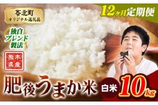 【12か月定期便】米 白米 熊本県産 肥後うまか米 10kg 精米 こめ  コメ お米 おこめ ブレンド米《申込月の翌月から出荷開始》熊本県産  コメ お米 おこめ
