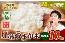 【12か月定期便】米 無洗米 熊本県産 肥後うまか米 10kg 精米 こめ  コメ お米 おこめ ブレンド米《申込月の翌月から出荷開始》熊本県産  コメ お米 おこめ