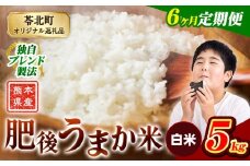 【6か月定期便】米 白米 熊本県産 肥後うまか米 5kg 精米 こめ  コメ お米 おこめ ブレンド米《申込月の翌月から出荷開始》熊本県産  コメ お米 おこめ