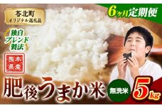 【6か月定期便】米 無洗米 熊本県産 肥後うまか米 5kg 精米 こめ  コメ お米 おこめ ブレンド米《申込月の翌月から出荷開始》熊本県産  コメ お米 おこめ