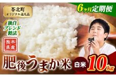 【6か月定期便】米 白米 熊本県産 肥後うまか米 10kg 精米 こめ  コメ お米 おこめ ブレンド米《申込月の翌月から出荷開始》熊本県産  コメ お米 おこめ