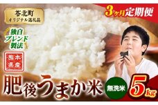 【3か月定期便】米  熊本県産 肥後うまか米 5kg 無洗米 精米 こめ コメ お米 おこめ ブレンド米《申込月の翌月から出荷開始》熊本県産 コメ お米 おこめ