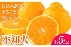 【先行予約】 みかん 不知火 5kg 高橋商店《2026年1月下旬-5月中旬頃出荷》熊本県 苓北町 柑橘 かんきつ 果物 フルーツ しらぬい 送料無料