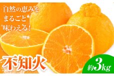 【先行予約】みかん 不知火 3kg 高橋商店《2026年1月下旬-5月中旬頃出荷》熊本県 苓北町 柑橘 かんきつ 果物 フルーツ しらぬい 送料無料