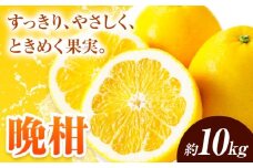 【先行予約】 みかん 晩柑 10kg 高橋商店《2026年3月下旬-7月上旬頃出荷》熊本県 苓北町 柑橘 かんきつ 果物 フルーツ 送料無料