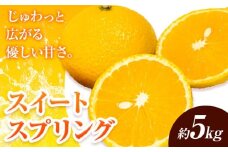 【先行予約】みかん スイートスプリング 5kg 高橋商店《11月下旬-2月中旬頃出荷》熊本県 苓北町 柑橘 かんきつ 果物 フルーツ 送料無料 スイート スプリング