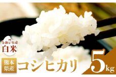 米 白米 コシヒカリ 令和7年産 5kg 森田農園《9月中旬-10月中旬頃出荷》 熊本県 苓北町 米 こめ コメ 熊本県産 こしひかり コシヒカリ 白米 天草