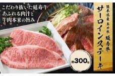 熊本県産 あか牛 「-延寿牛-」 サーロイン ステーキ 約300g 株式会社ワンエイト《30日以内に出荷予定(土日祝除く)》熊本県 苓北町 延寿牛 牛肉 ステーキ サーロインステーキ【配送不可地域あり】