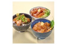 ＜ 訳あり ＞ 地魚 海鮮 漬け丼 の素 (8食セット) アジ サバ マグロ カツオ 鯛 タイ イカ ブリ カワハギ メジナ イサキ ヒラメ カンパチ 小分け【opbe012】【水元】