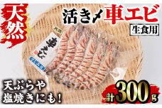 天然 活き〆車エビ 生食用 (300g)  エビ 海老 車海老 車エビ 冷凍 刺身 さしみ 天ぷら 塩焼 バーベキュー 国産 大分県産 大分県 鶴見食賓館 【opad007】【鶴見食賓館】