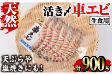 天然 活き〆車エビ 生食用 (計900g)  エビ 海老 車海老 車エビ 冷凍 刺身 さしみ 天ぷら 塩焼 バーベキュー 国産 大分県産 大分県 鶴見食賓館 【opad008】【鶴見食賓館】