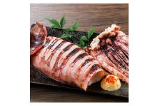 ＜訳あり＞ いかの一夜干し (10尾) 魚介 いか イカ 烏賊 一夜干し 冷凍 おつまみ つまみ スルメイカ するめいか するめ 国産 小分け 【opar003】【磯武】