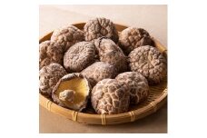  大分県 国東半島産 どんこ椎茸 (計240g・40g×6袋) 椎茸 シイタケ 小分け 肉厚 きのこ キノコ おかず お惣菜 惣菜 常温【opap002】【大分乾物】