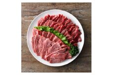 おおいた和牛 A4ランク以上！ 赤身 焼肉 2種セット (合計550g・特選赤身焼肉250g 赤身焼肉300g)  国産 牛肉 肉 霜降り 食べ比べ セット 低温熟成 和牛 焼き肉 冷凍 【opah021】【ネクサ】