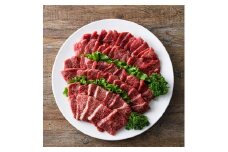 おおいた和牛A4ランク以上！赤身焼肉セット(合計800g ・ 3種) 国産 牛肉 肉 セット 詰め合わせ 食べ比べ 低温熟成 和牛 焼き肉 冷凍 【opah022】【ネクサ】