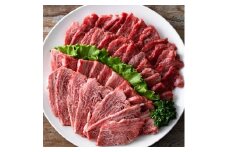 おおいた和牛 A4ランク以上！ 特選 焼肉セット (合計600g・赤身300g+カルビ300g)  国産 牛肉 肉 セット 詰め合わせ 低温熟成 和牛 カルビ 焼き肉 冷凍  【opah023】【ネクサ】