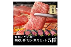 ＜ 訳あり ＞ おおいた和牛 A4ランク以上！ お試し 食べ比べ 焼肉 5種 セット (合計 350g ：70g× 5種 )  国産 牛肉 肉 小分け 詰め合わせ 低温熟成 焼き肉 冷凍  【opah025】【ネクサ】