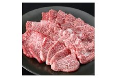 おおいた和牛 焼肉用 モモ肉 (500g) モモ もも 焼肉 焼き肉 国産 冷凍 和牛 牛肉 【opay004】【まるひで】