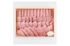 おおいた和牛 焼肉用 バラ (600g)  バラ肉 和牛 牛肉 肉 焼肉 焼き肉 国産 国産牛 冷凍  【opay005】【まるひで】
