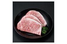 おおいた和牛 サーロインステーキ (計600g) サーロイン ステーキ 和牛 牛肉 国産 肉 冷凍  【opay010】【まるひで】