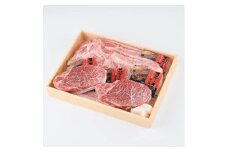 おおいた和牛 サーロイン ヒレ ステーキ セット (合計620g・サーロイン180g×2枚・ヒレ130g×2枚) サーロイン ステーキ 国産 和牛 牛肉 冷凍 セット 詰め合わせ 【opay011】【まるひで】