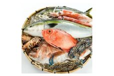 ＜定期便＞ 魚介類定期便 (全12回 ・連続) 魚 魚介 海鮮 いか イカ たこ タコ 貝 海老 えび エビ 冷蔵 【opba001】【海べ】