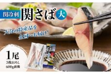 大分市佐賀関からお届け 関冷刺 関さば（大） 魚 刺身 大分県 サバ 新鮮 佐賀関 豊後 魚介類 海鮮丼 冷凍 E04002