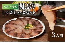 天然一本釣り関ぶりしゃぶしゃぶセット 魚 関ぶり しゃぶしゃぶ セット ぶり ブリ かま あら 焼き 煮付け 鍋 りゅうきゅう 料理 薬味 たれ付き 生ぽん酢 冷凍 E04005