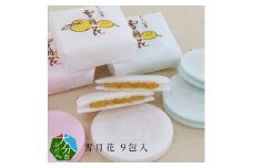 雪月花9包入 大分 和菓子 柚子 おやつ 銘菓 お土産 常温 餅米 ゆずあん 和菓子 ギフト J09006