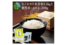 ヒノヒカリ金芽米4.5kgと紫黒米（古代米）300g 米 白米 丹川 無洗米 ヘルシー セット 美味しい ご飯 栄養 健康 B01013