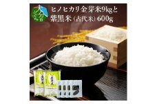 ヒノヒカリ金芽米9kgと紫黒米（古代米）600g 丹川 無洗米 ヘルシー 大分県 美味しい ご飯 栄養 健康 B01014