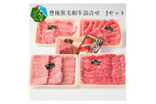 豊後黒毛和牛詰合せ　Jセット約2.5kg 牛肉 豊後牛 黒毛和牛 ロース モモ バラ焼肉 セット ローストビーフ用 赤身 大分市 A01048 