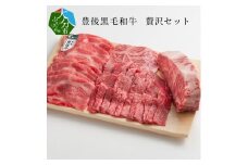 豊後黒毛和牛贅沢セット約2.6kg 牛肉 ブロック 黒毛和牛 豊後牛 おおいた和牛 焼肉セット すき焼き 焼肉 肩ロース うす切り A01049