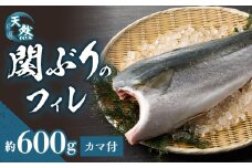 関ぶりのフィレ（カマ付）　約1.5kg  関ぶり 天然 ぶり ブリ フィレ 高鮮度 カマ付 かま カマ 急速冷凍 冷凍 新鮮 ぷりぷり 刺身 焼き物 煮物 料理 佐賀関 大分 E04015