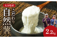 こだわり自然薯 B やまいも 山芋 ねばり 風味 とろろ じねんじょ 自然薯 とろろご飯 料理 自然 芋 長芋 大和芋 健康 F11011