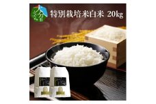 特別栽培米ぴかまる白米 20kg 米 白米 丹川 大分県 美味しい ご飯 おにぎり 精米 料理 ブランド米 B01022
