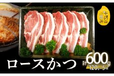 米の恵み　ロースかつ　約120g×5枚  豚肉 ロースかつ 米の恵み 冷凍 旨味 ブランド豚 極上 大分市 国産 肉料理 A02011
