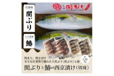 関ぶりと鰆の西京漬け（切身） ブリ ぶり 旬 魚 大分県 西京味噌 漬け込み 漬魚 高鮮度 急速凍結 新鮮 おかず 冷凍 サワラ さわら E22016