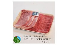 百年の恵 「おおいた和牛」 ステーキ・うす切詰合せ Aセット約700g  牛肉 うす切り 詰め合わせ 和牛 豊後牛 黒毛和牛 霜降り ロースステーキ 焼肉 700g A01063
